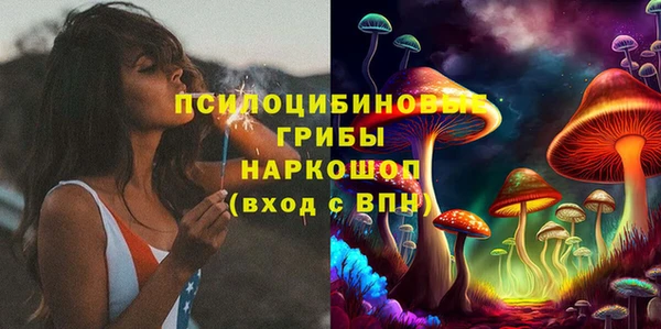 прущий лед Аркадак
